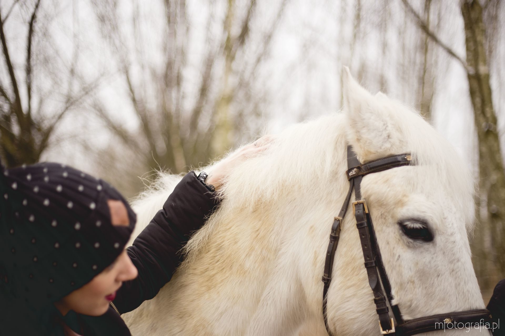 sesja z białym koniem