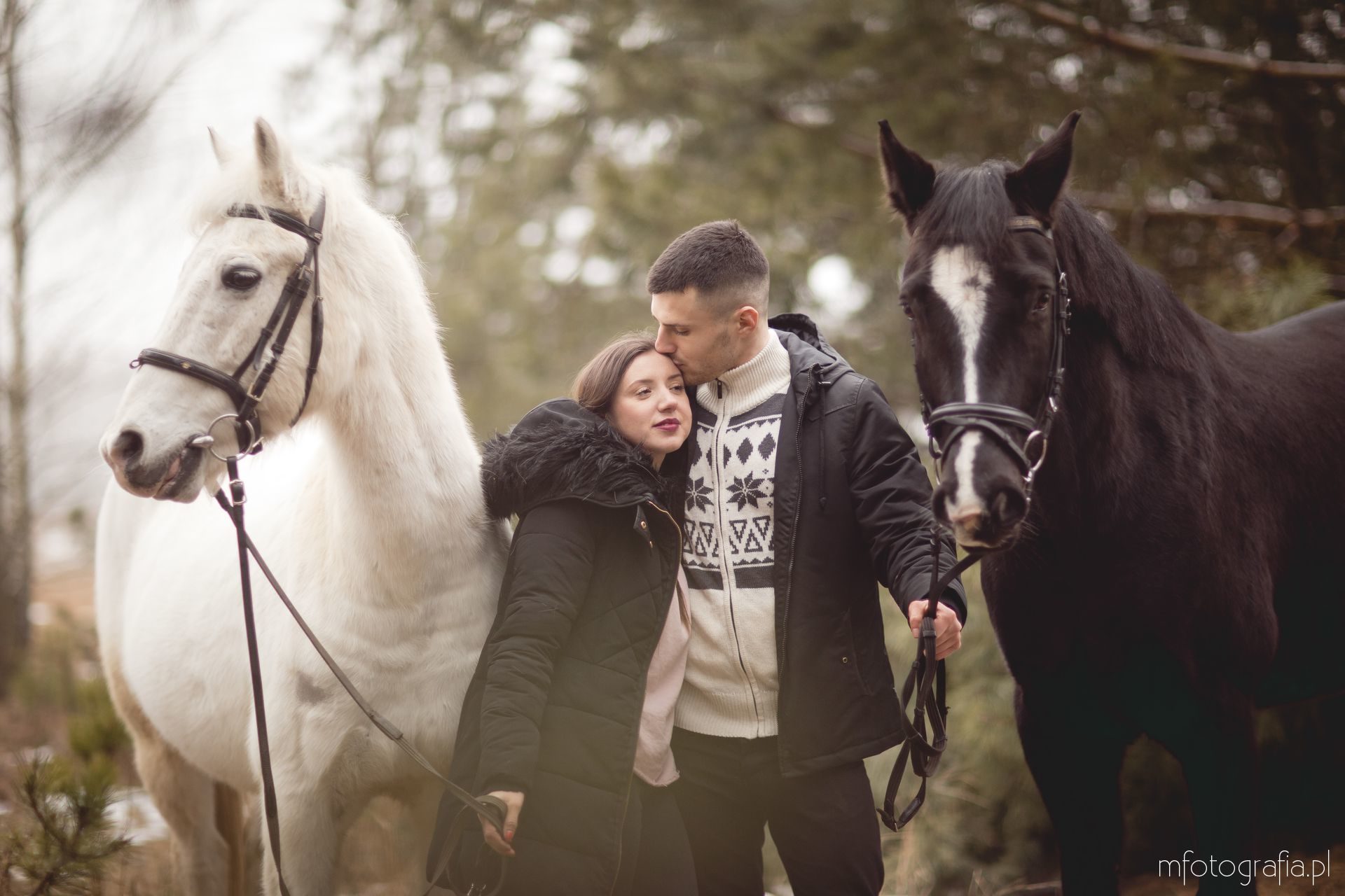 zimowa sesja zakochanych z końmi