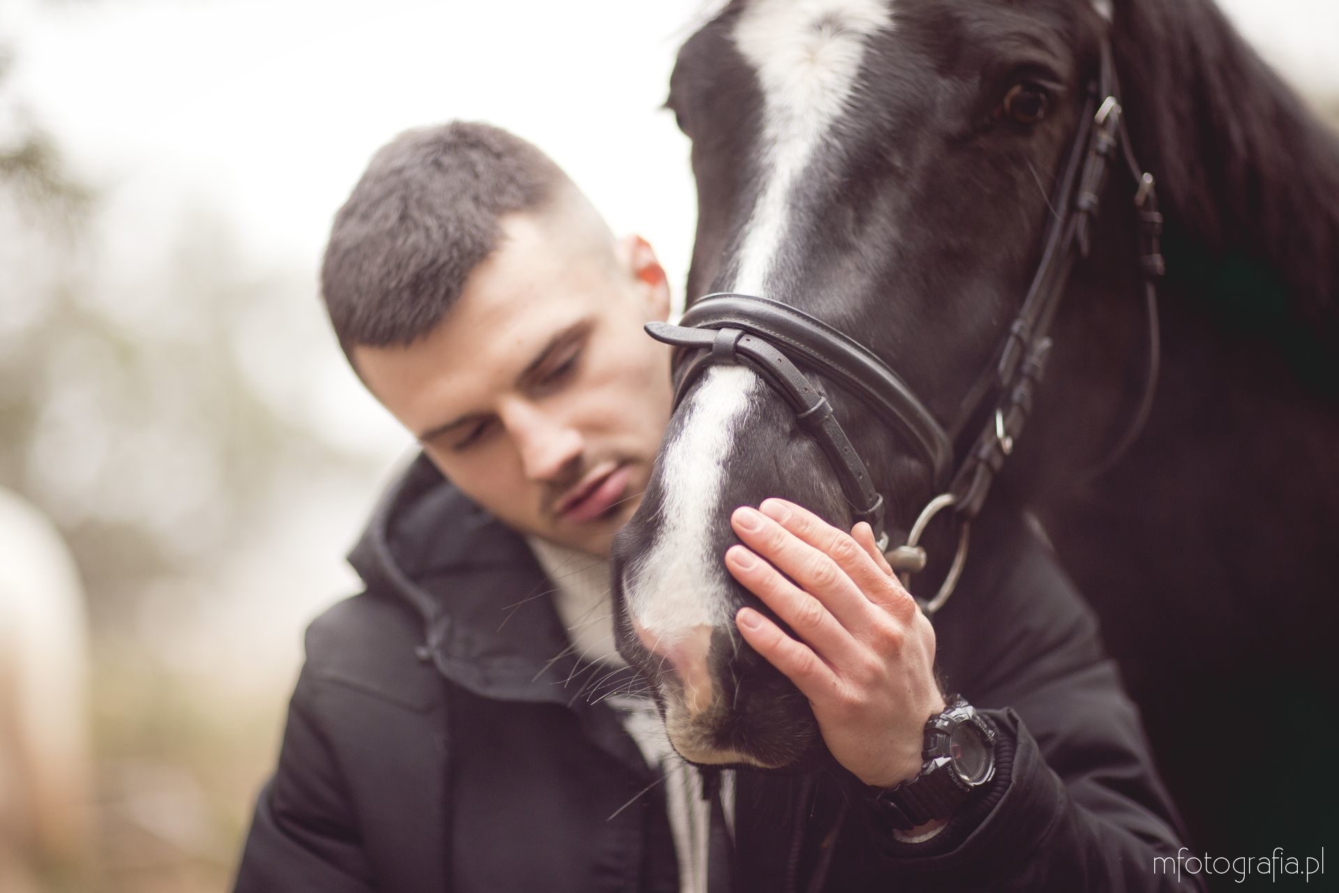 zimowa sesja zakochanych z końmi
