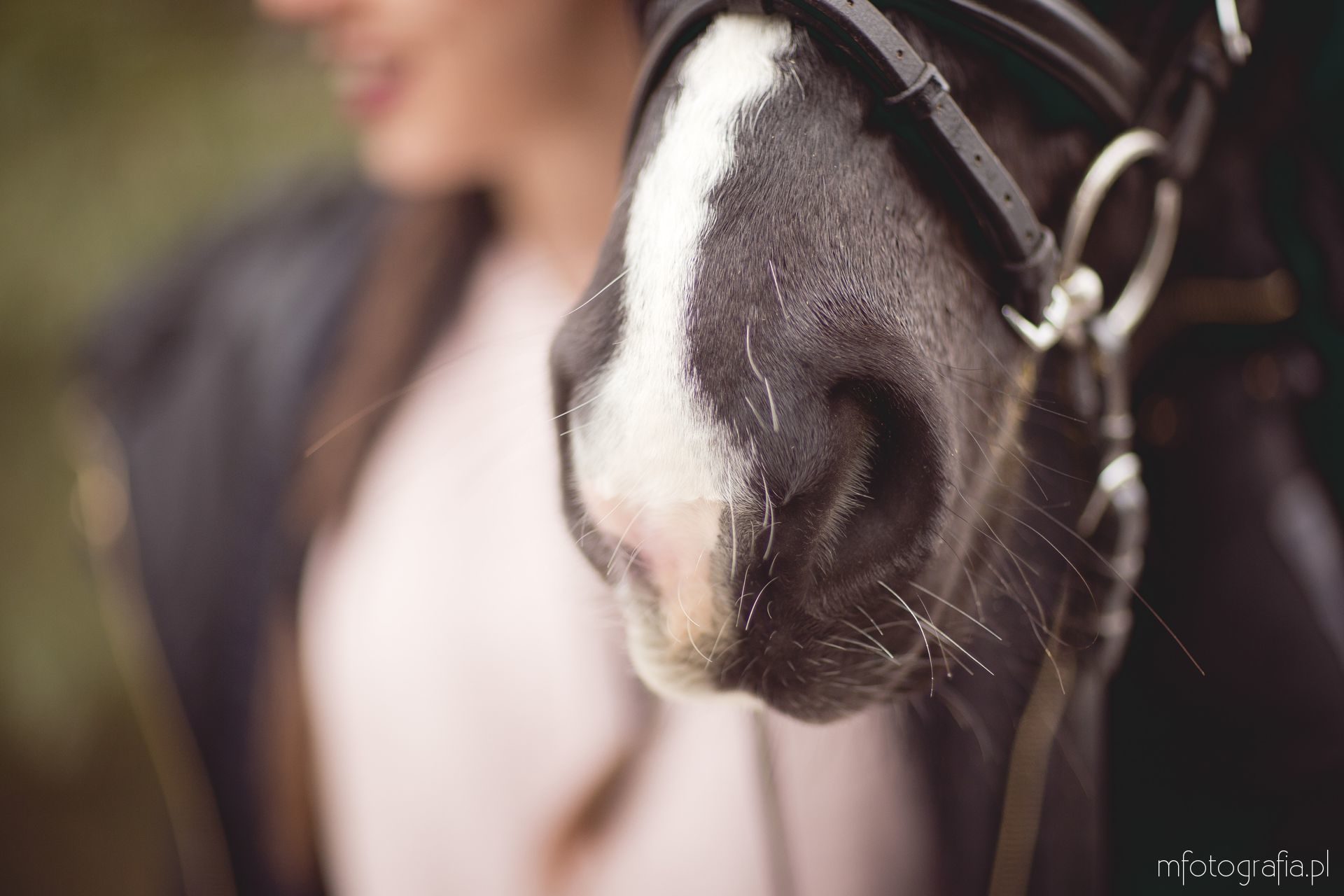 koń pyszczek