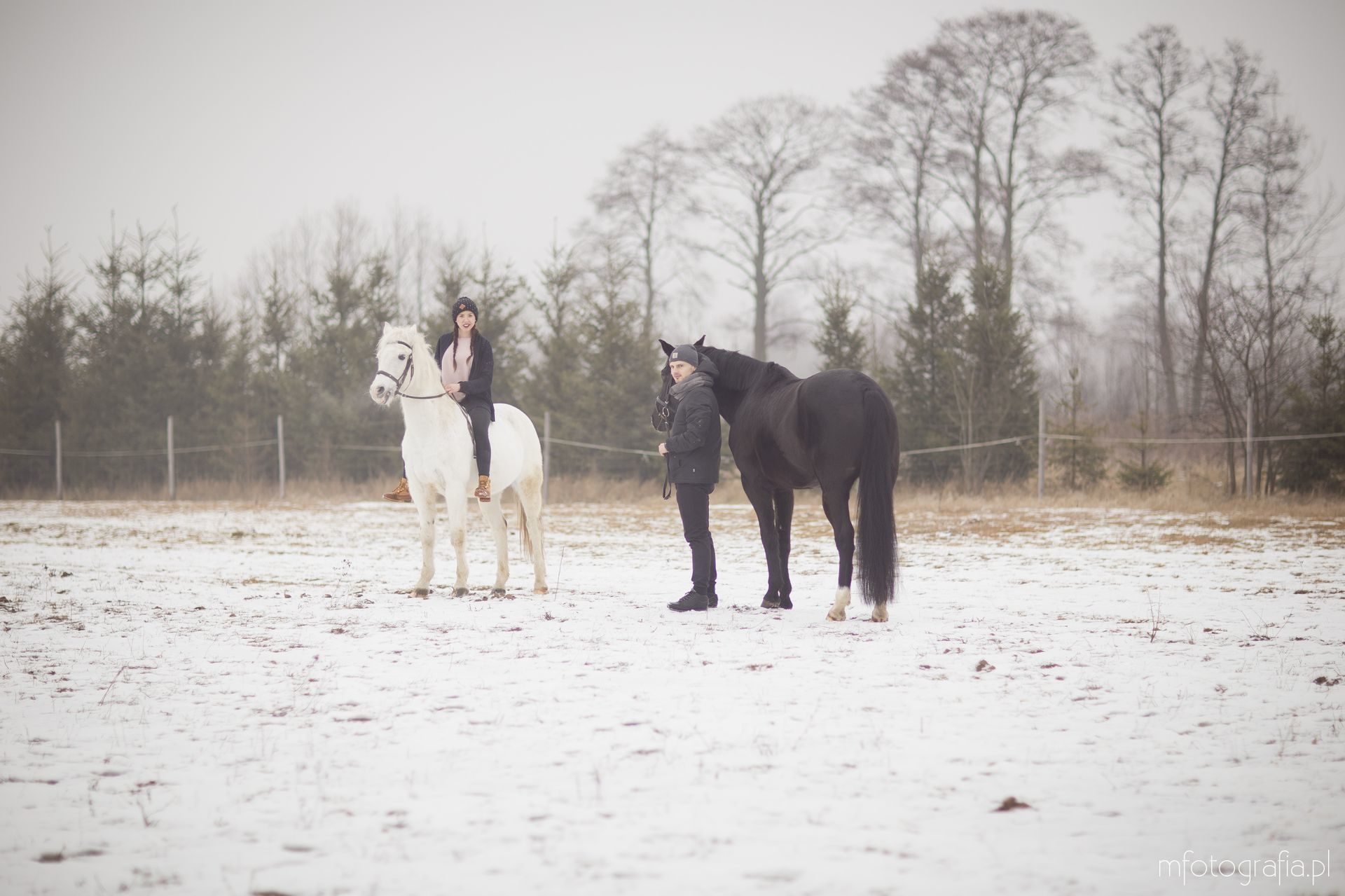 sesja zakochanych zimą koń