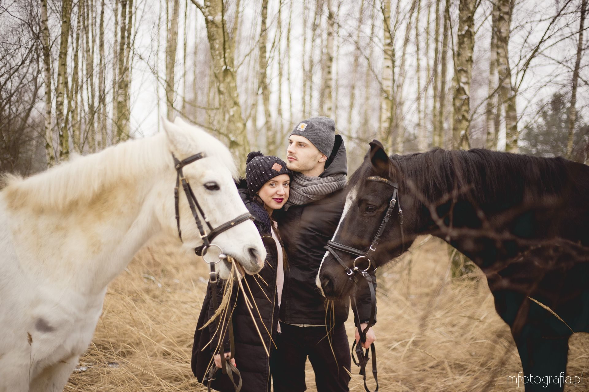 sesja z końmi portret