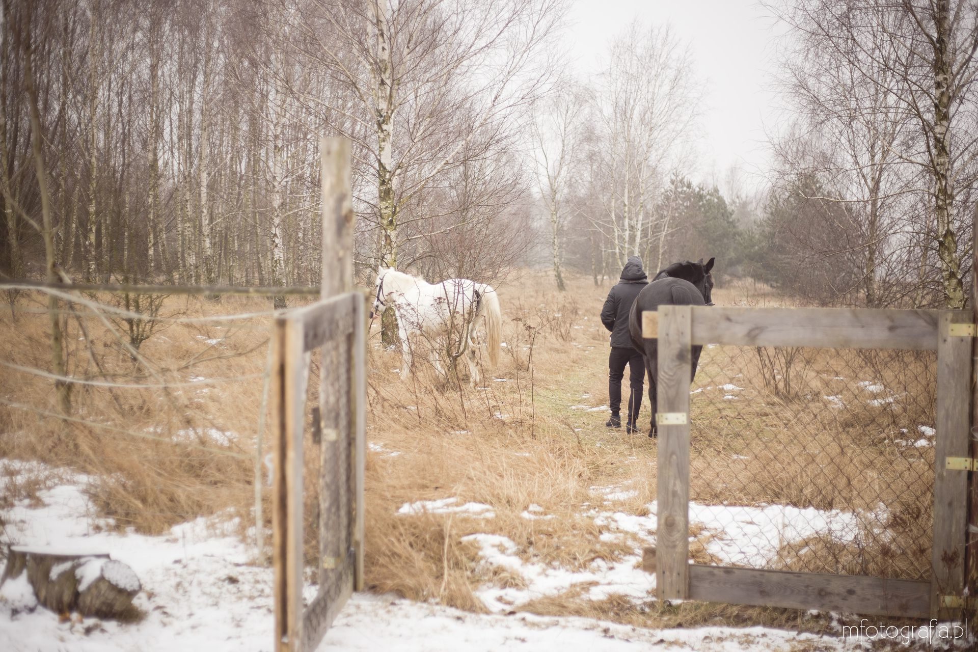 sesja zakochanych zimą
