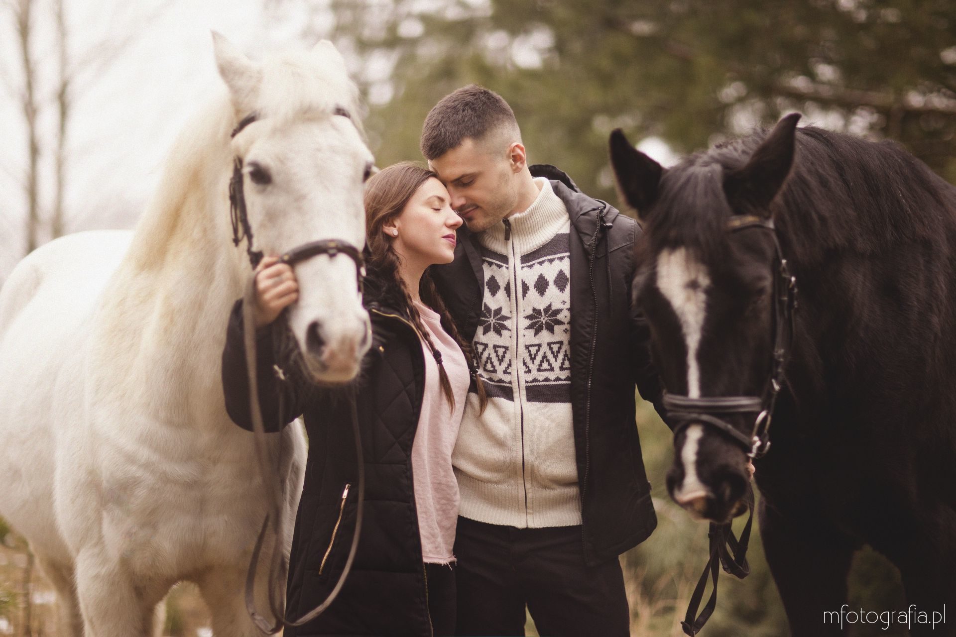 sesja z końmi portret